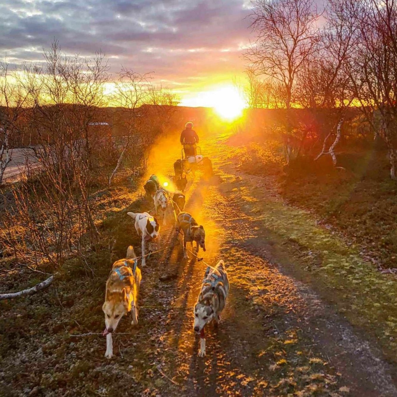 Høstsamling - Hodeskallekrysset